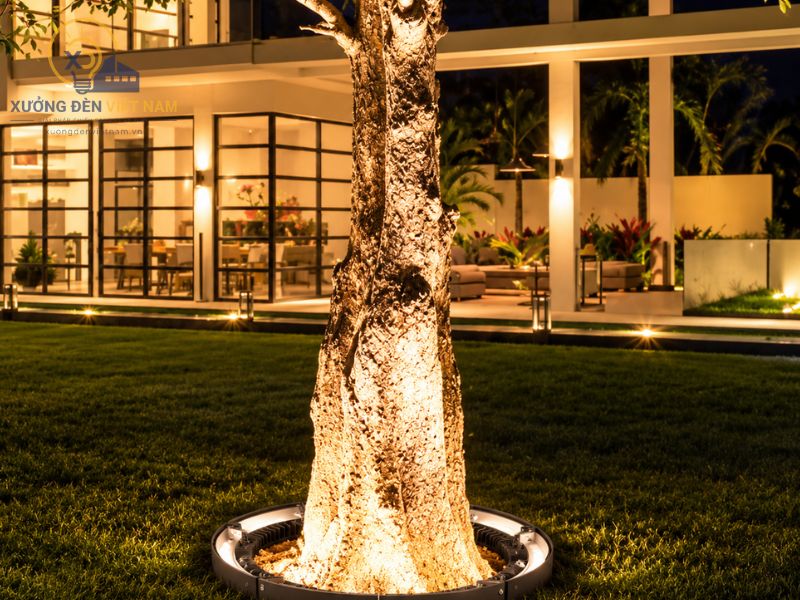 Sử dụng đèn tạo điểm nhấn cho không gian